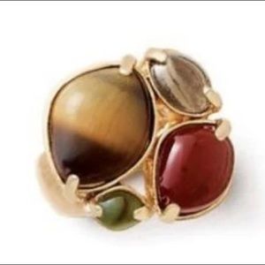 Lia Sophia spice berry tigers eye with glass and agate ring